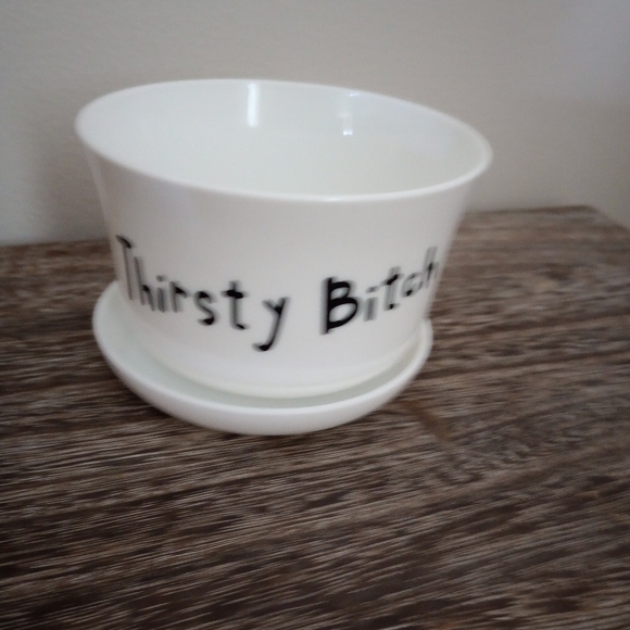 .Succulent, Cactus, Small Plants 4" Plastic Pot , Container, With Drain Holes, - Picture 4 of 4